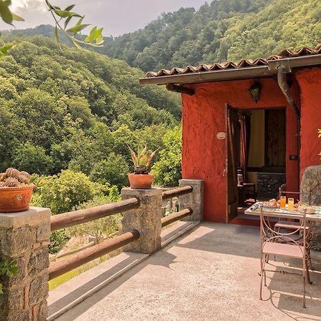 Casamicciola Terme Agriturismo Pera Di Basso מראה חיצוני תמונה