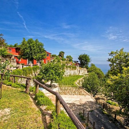 Casamicciola Terme Agriturismo Pera Di Basso מראה חיצוני תמונה