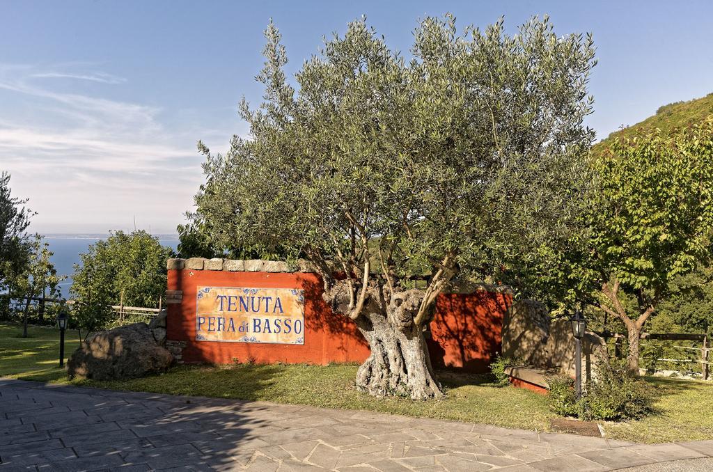 איסקיה Agriturismo Pera Di Basso מראה חיצוני תמונה